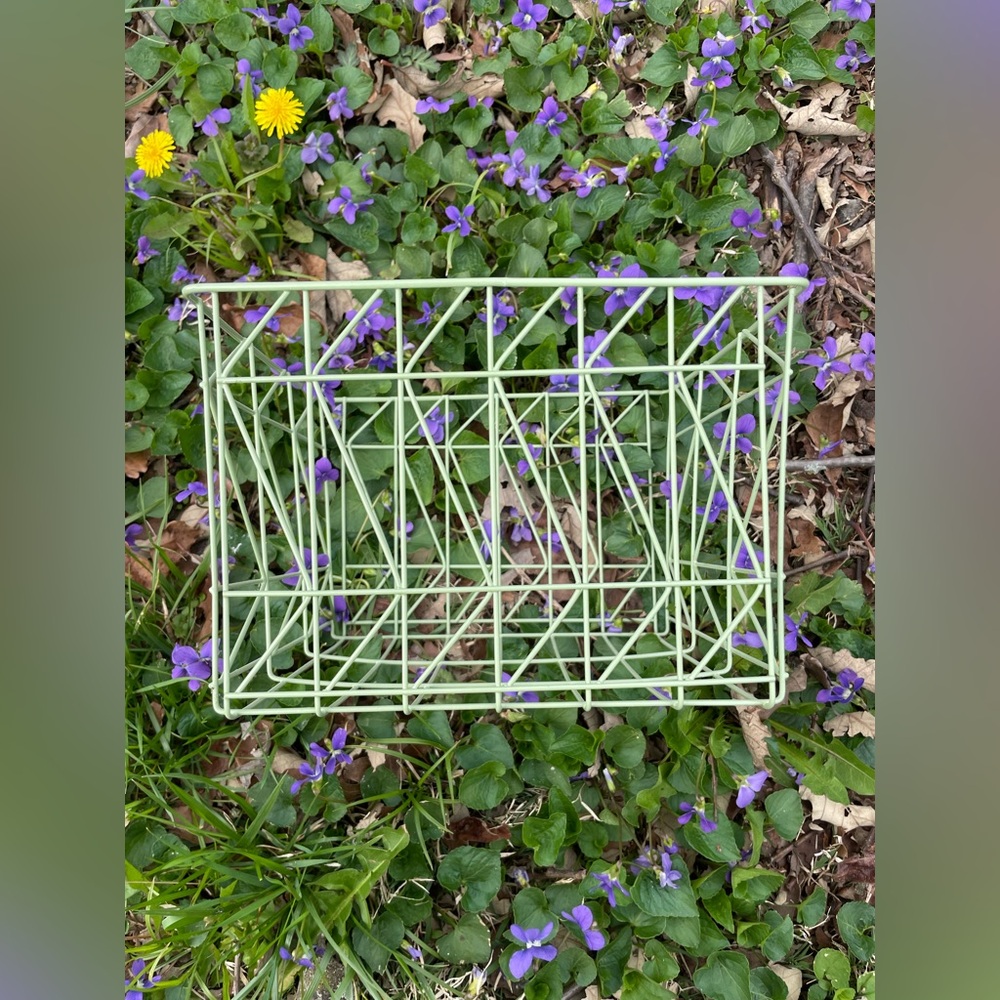 Wire Basket